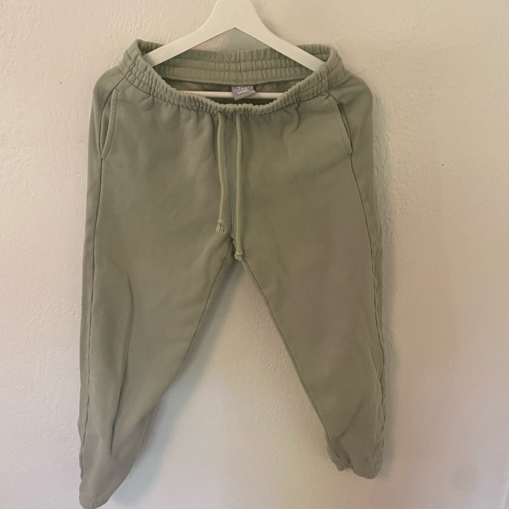 Aritzia sage green Jogger Pants